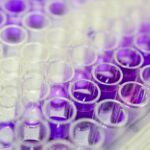 efficiency,-sustainability-drive-thermo-fisher’s-new-microarray-data-analysis-solution