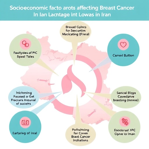 socioeconomic-factors-affecting-breast-cancer-outcomes-in-iran
