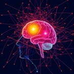 efficient-dtw:-analyzing-dynamic-psychiatric-processes