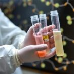 long-read-metagenomics-tracks-strains-post-transplant