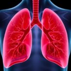 unraveling-chronic-lung-transplant-rejection:-new-study-identifies-mechanisms-and-drug-targets