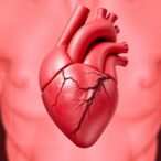 hmgn1-drives-heart-defects-in-trisomy-21