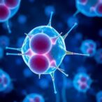 revolutionizing-our-understanding-of-bone-marrow-function