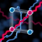 designing-ca2+-channels-from-filter-geometry