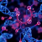nanobody-bioprotac-targets-yap-to-halt-tumors