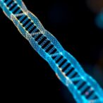 retrons-unveiled:-advancing-precise-genome-editing
