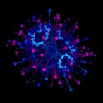 single-cell-and-bulk-rna-seq-uncover-macrophage-roles-in-ra