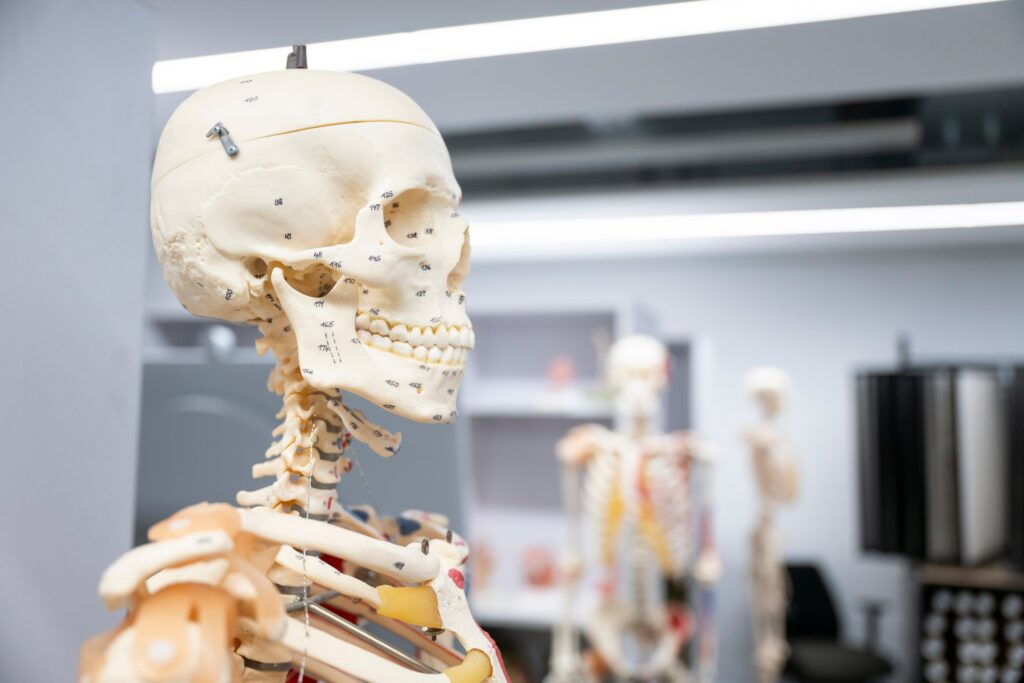 inhibrx-eyes-fda-submission-after-phase-2-rare-bone-cancer-win