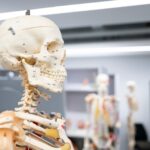 inhibrx-eyes-fda-submission-after-phase-2-rare-bone-cancer-win