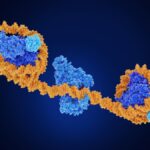real-time-epigenetic-sensor-tracks-post-translational-modification-dynamics