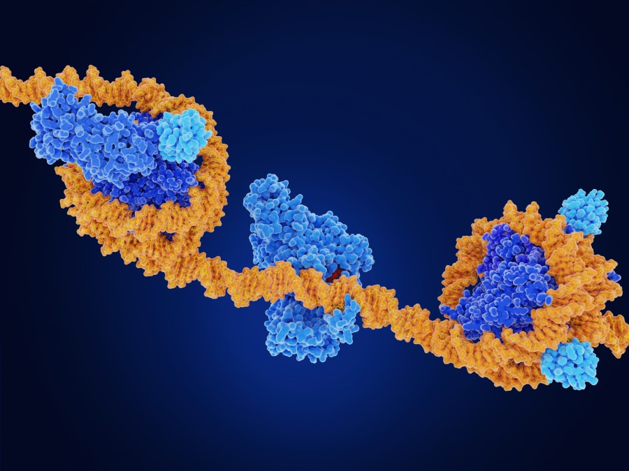 real-time-epigenetic-sensor-tracks-post-translational-modification-dynamics