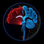 tackling-medical-imaging-data-gaps-with-heterosync