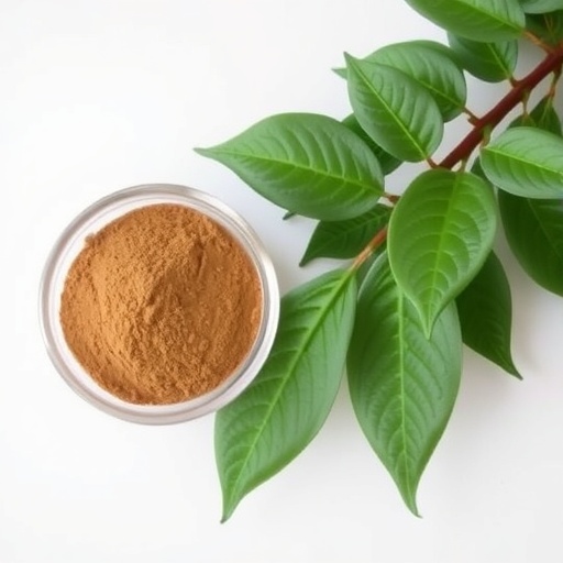 toxicity-study-of-minquartia-guianensis-leaf-extract