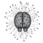 decoding-sentiment:-multimodal-prototypical-networks-unveiled