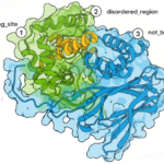boltzgen-democratizes-ai-therapeutic-design,-expands-druggable-universe