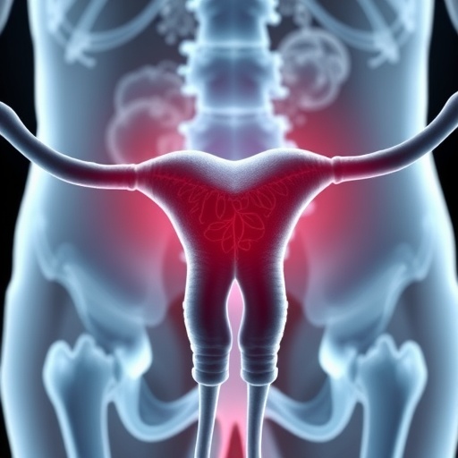 researchers-identify-key-factor-driving-ovarian-cancer-metastasis