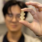 bioengineering-advances-inspired-by-coral’s-natural-“jamming-system”