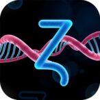 z-genie:-easy-tool-for-predicting-z-dna-regions