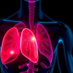 opt-out-organ-donation-policies-could-decrease-organ-supply,-study-finds