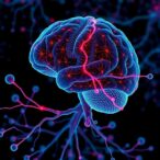 unraveling-neurodegeneration:-the-gut-brain-immune-connection-explored
