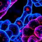 exploring-panmim:-insights-into-cancer-metastasis-immunity