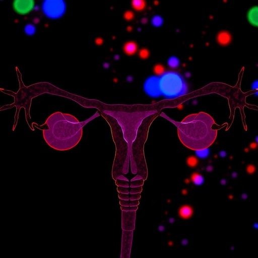 stxbp6-controls-ovarian-cancer-via-pi3k/akt-pathway