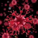 multi-omic-insights-into-aging-immune-dynamics