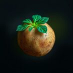 plug-in-resistance-engineering-inspired-by-potato-nlrome