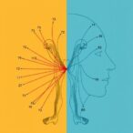sensory-expectations-guide-motor-circuit-dynamics