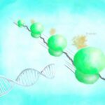 ai-engineered-peptides-may-boost-e.-coli-protein-yields-for-biomanufacturing