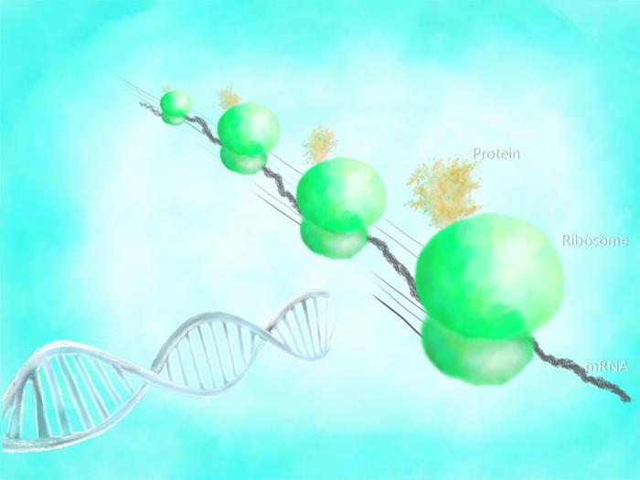 ai-engineered-peptides-may-boost-e.-coli-protein-yields-for-biomanufacturing