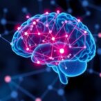 new-research-uncovers-how-brain-cell-networks-enhance-memory-stability