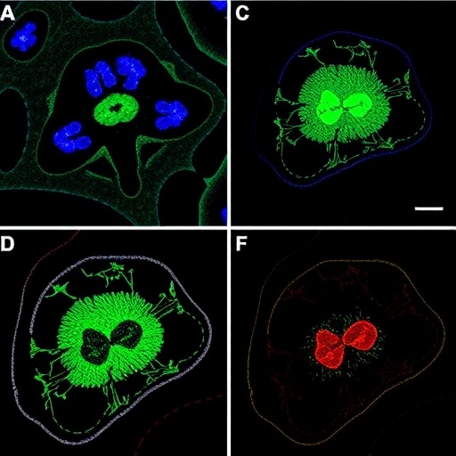 cd73-and-vegf-in-vietnamese-salivary-cancers