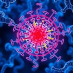 engineering-the-midnolin-proteasome-pathway-for-precision-targeted-protein-degradation