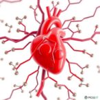 unveiling-the-impact-of-lipids-on-cardiovascular-disease