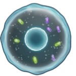 nvidia-and-chan-zuckerberg-initiative-collaboration-scales-virtual-cell