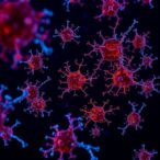 proteome-atlas-unveils-diabetic-retinopathy-risks