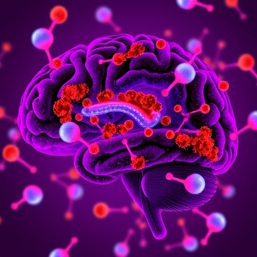 hspa8-regulates-immunity-to-reduce-brain-ischemia