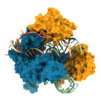 biopharma-embraces-synthetic-biology