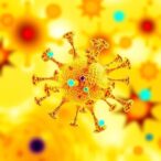 revolutionary-arditox-uncovers-cross-reactive-tcr-epitopes