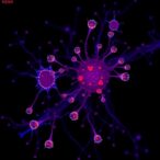 alveolar-macrophages-predict-tst/igra-conversion-resistance