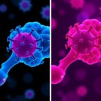 comparing-immune-responses:-rituximab-vs.-obinutuzumab-in-follicular-lymphoma