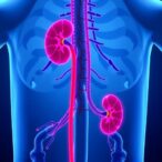 β-hydroxybutyrate-protects-against-early-diabetic-kidney-disease