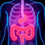 key-factors-influencing-colorectal-cancer-survival