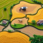 agricultural-practices:-a-key-factor-in-the-preservation-or-degradation-of-protected-areas
