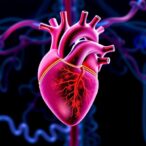 gene-discovered-to-enhance-heart’s-self-recovery-after-attack-or-failure