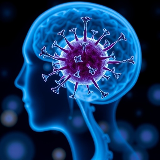 ohsu-researchers-uncover-innovative-tools-for-early-cancer-detection-and-treatment