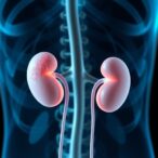 exploring-tetracycline’s-impact-on-kidney-health