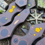 drones-and-lichens-team-up-to-uncover-dinosaur-bones