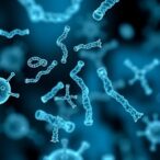 reproduction-number-varies-among-pandemic-e.-coli-clones